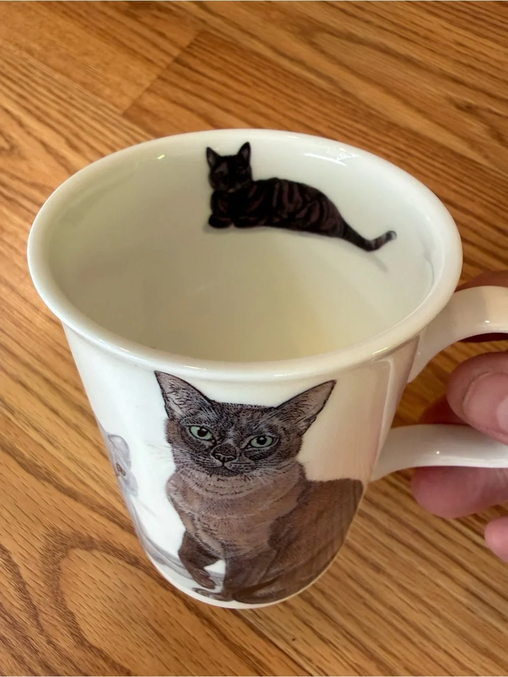 Henley Cat Collection Mug K. M. HASSALL 2013 Fine Bone China Cup England